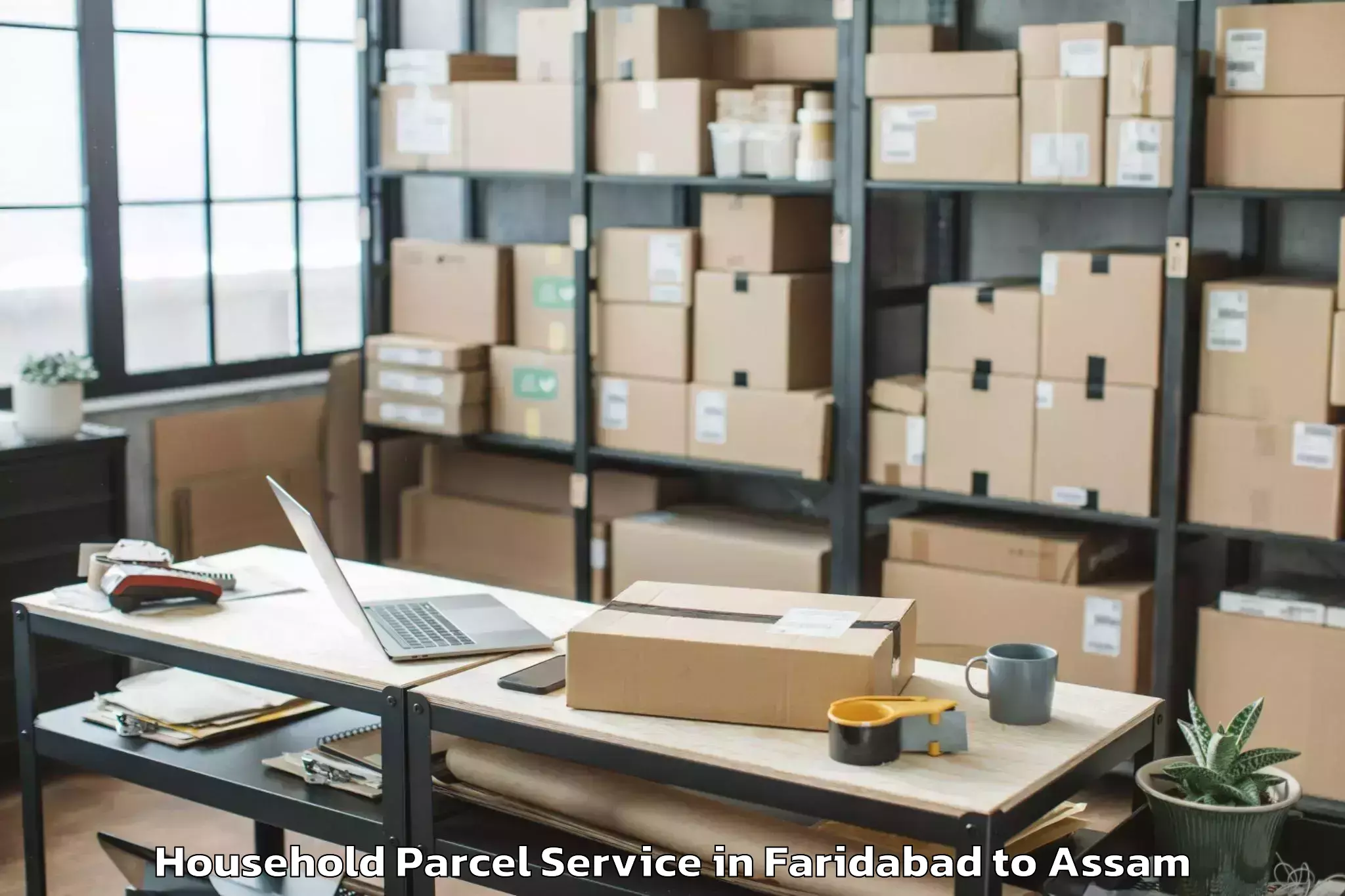 Easy Faridabad to Dhakuakhana Household Parcel Booking